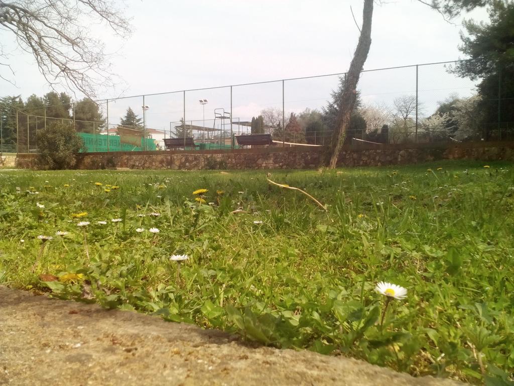 House Monika Apartment Porec Luaran gambar