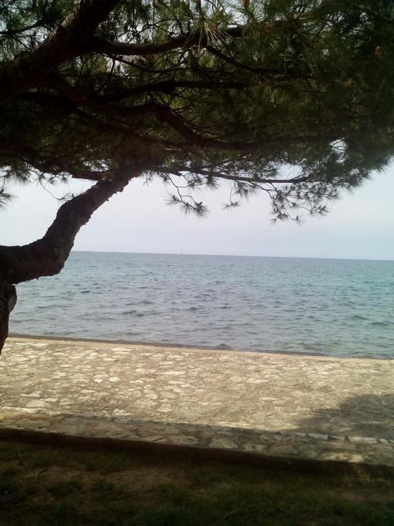 House Monika Apartment Porec Luaran gambar